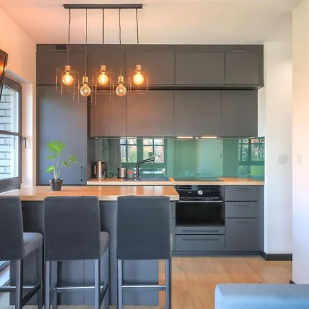 Apartament Srodmiescie Z Widokiem Na Motlawe *